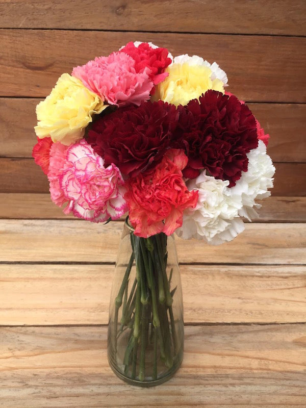 Charming Bouquet - Mixed Color Carnations