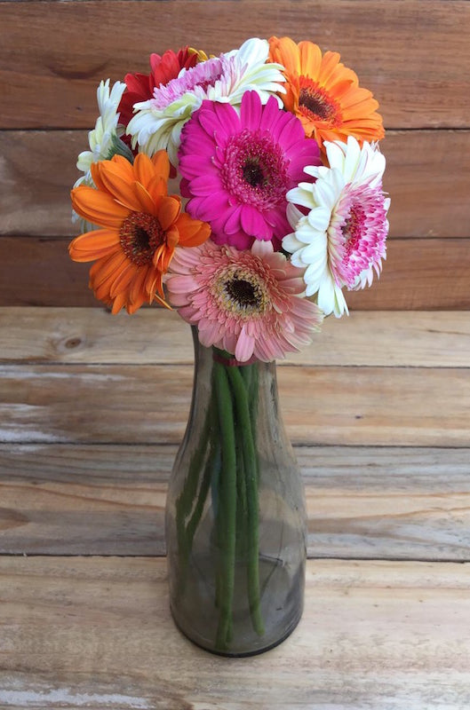 Cheeky - Gerbera Daisies Bouquet