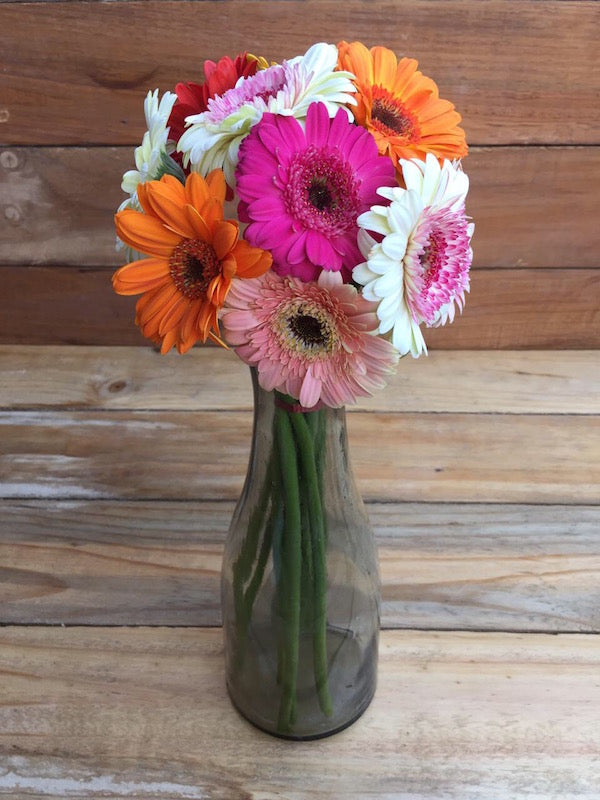 Cheeky - Gerbera Daisies Bouquet
