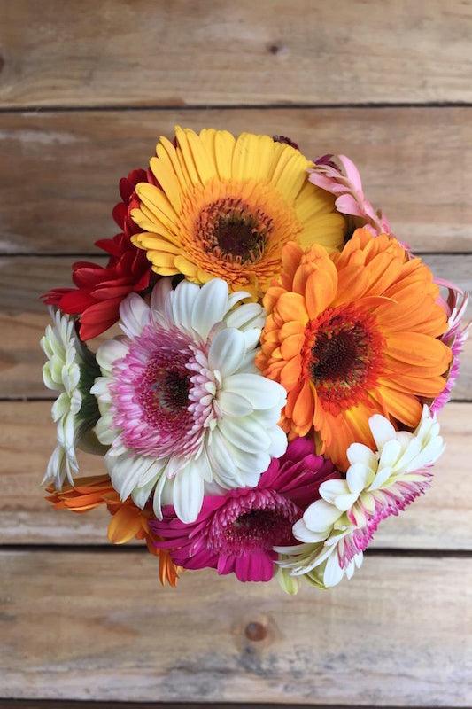 Cheeky - Mixed Daisies Bouquet