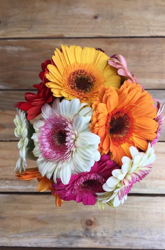 Cheeky - Mixed Daisies Bouquet