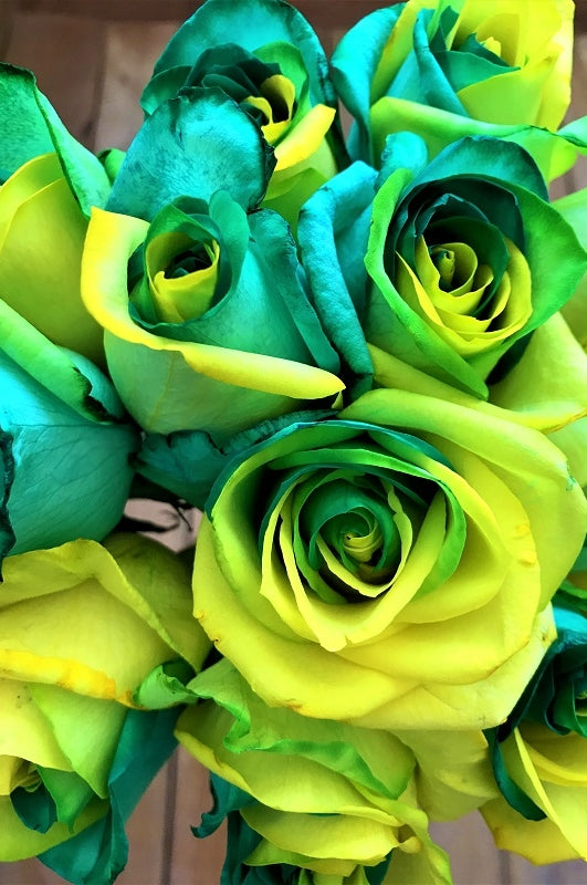 citrus twist tinted roses