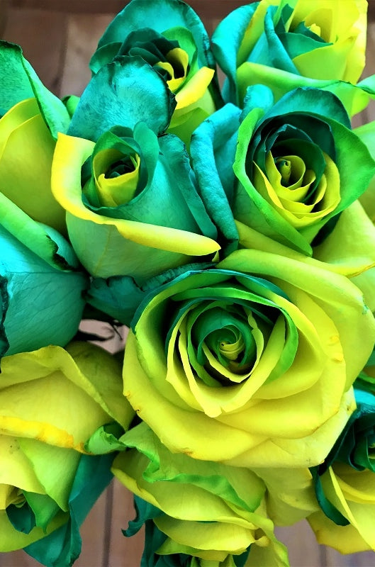citrus twist tinted roses