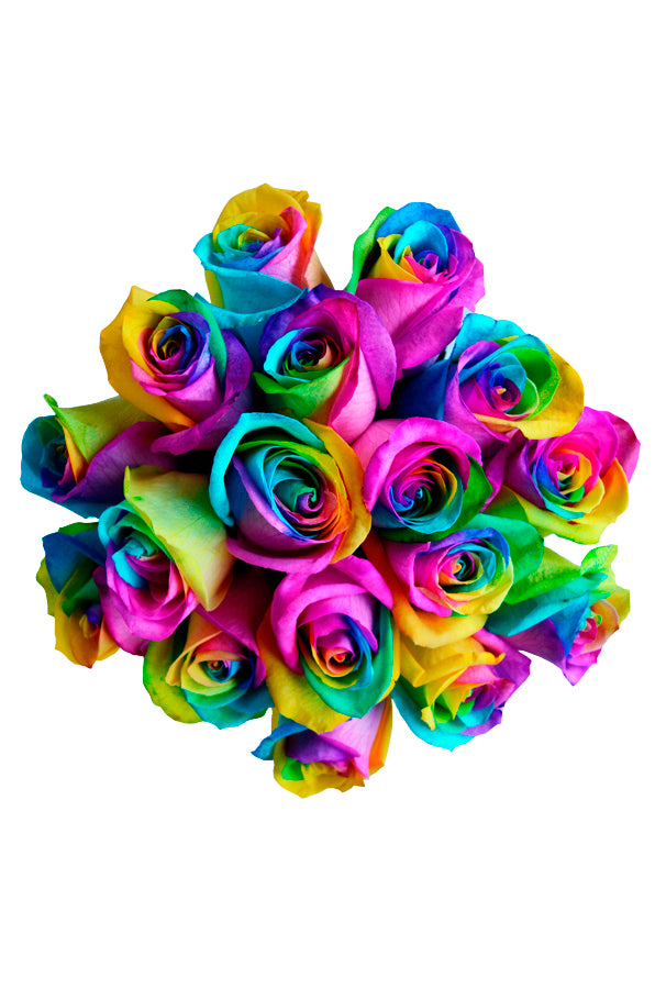 Rainbow Roses