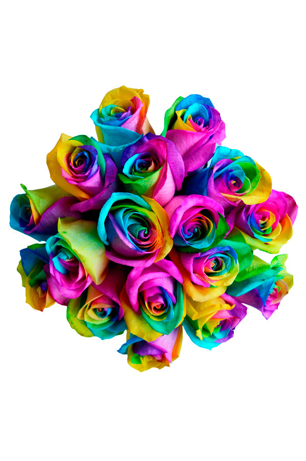 Rainbow Roses