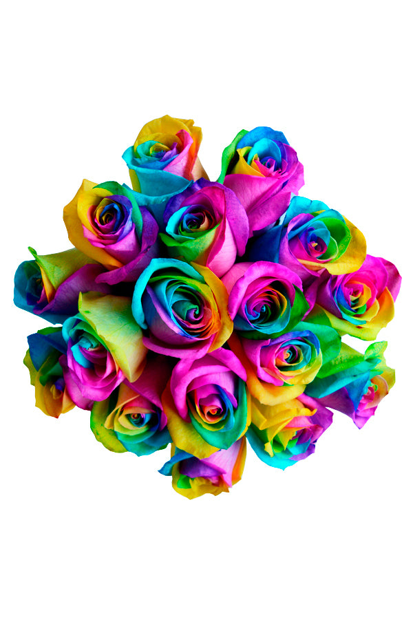 Rainbow Roses, Rainbow Roses Delivery, Tie Dye Roses Flower Explosion
