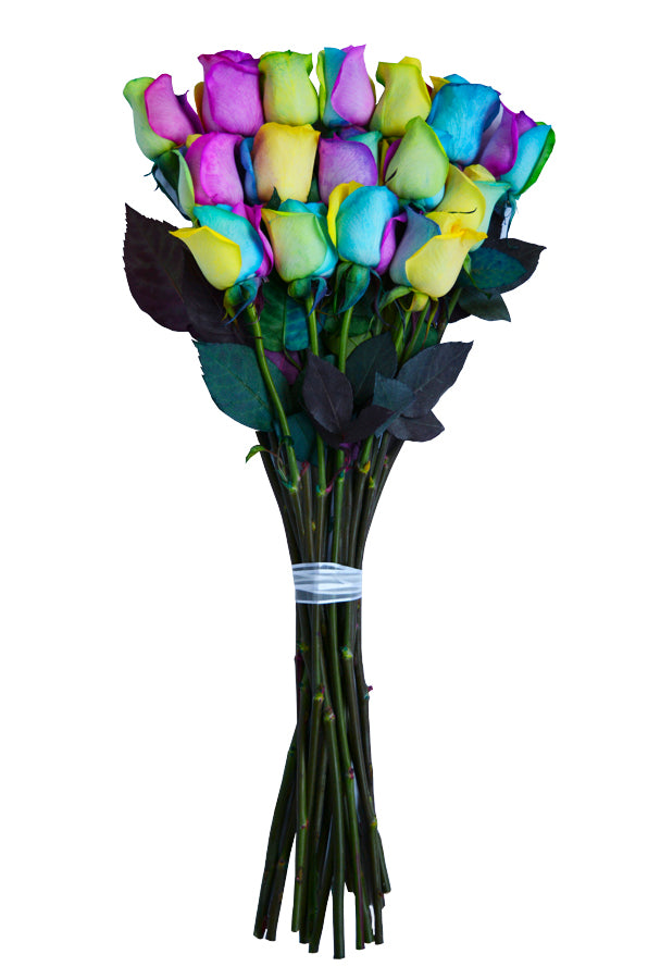 Rainbow Roses