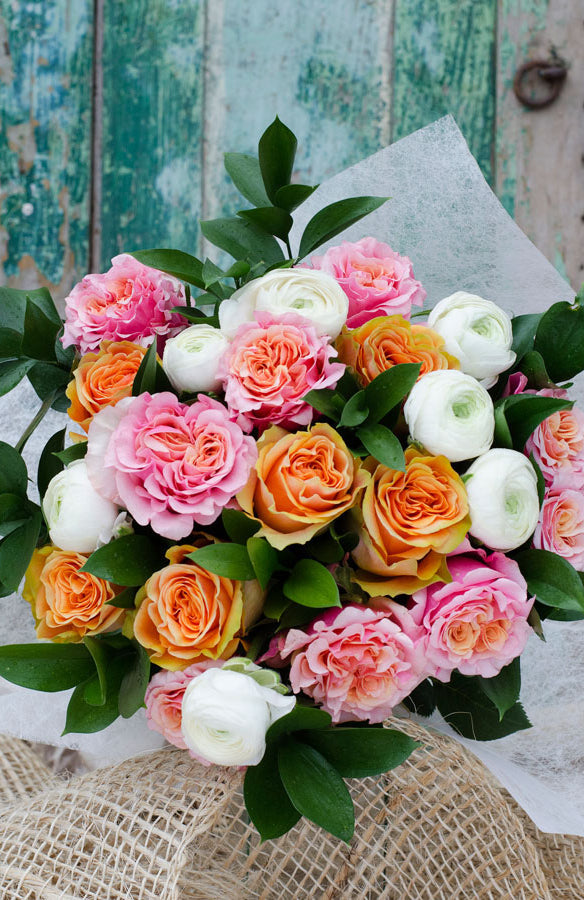 Coral Reef - Vertical