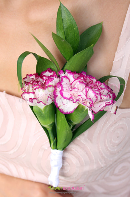 Purple & White Carnations Corsage