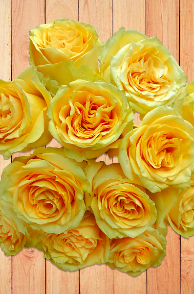 Country Sun Bouquet
