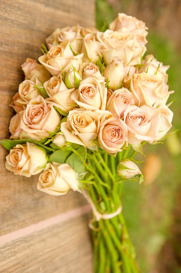 spray roses vs garden roses Cream Spray Roses