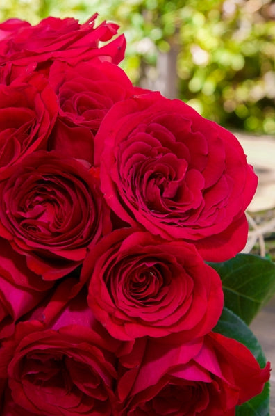 Crimson Gardon Rose Bouquet