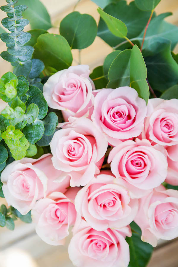 Eucalyptus and Roses DIY Wedding Combo