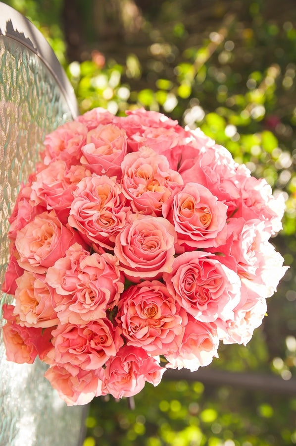Flamingo Garden Roses