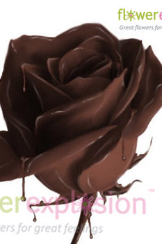 Edible Rose in Fondue