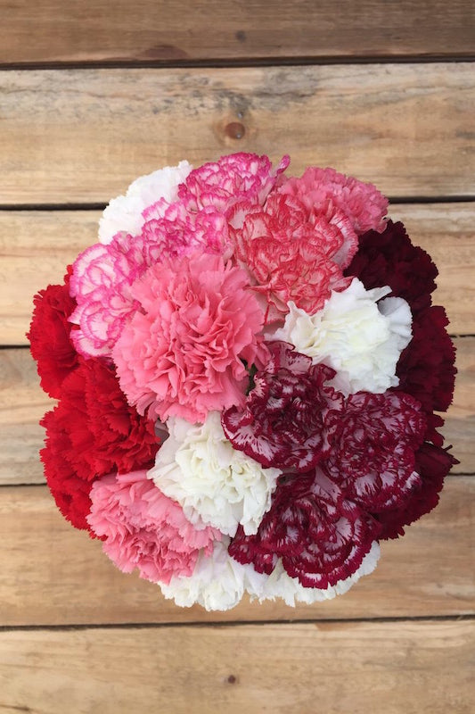 Forever Yours - Mixed Carnations Bouquet