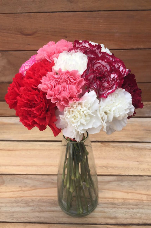 Red White Pink Purple Carnations Bouquet