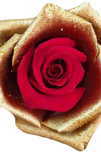 red rose golden petals