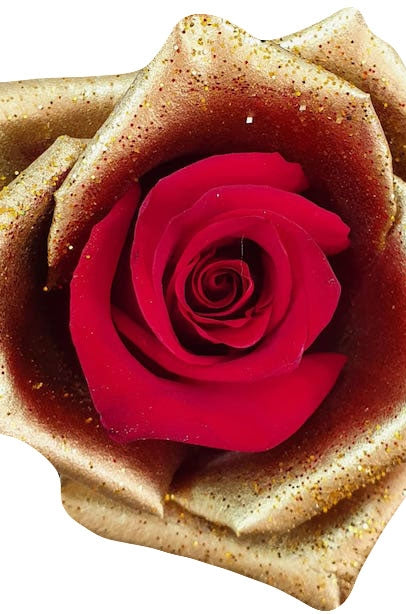 red rose golden petals