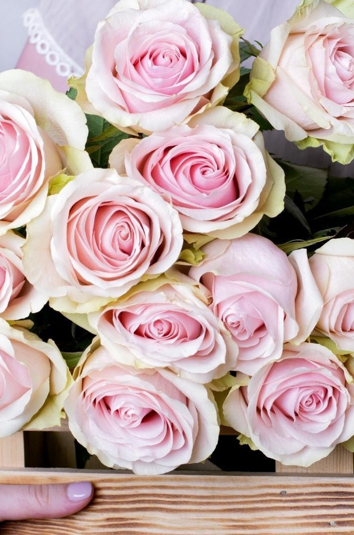 Frutteto Roses