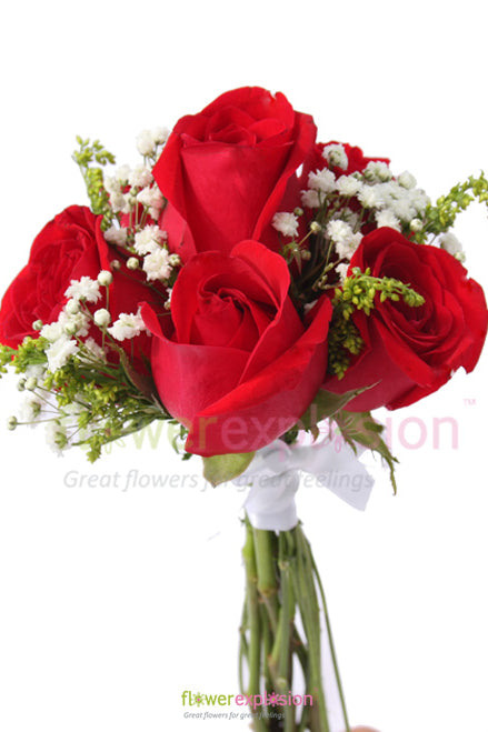 Six Roses - Fundraising