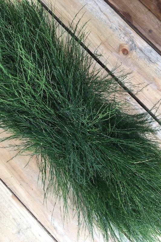 christmas garland tree fern