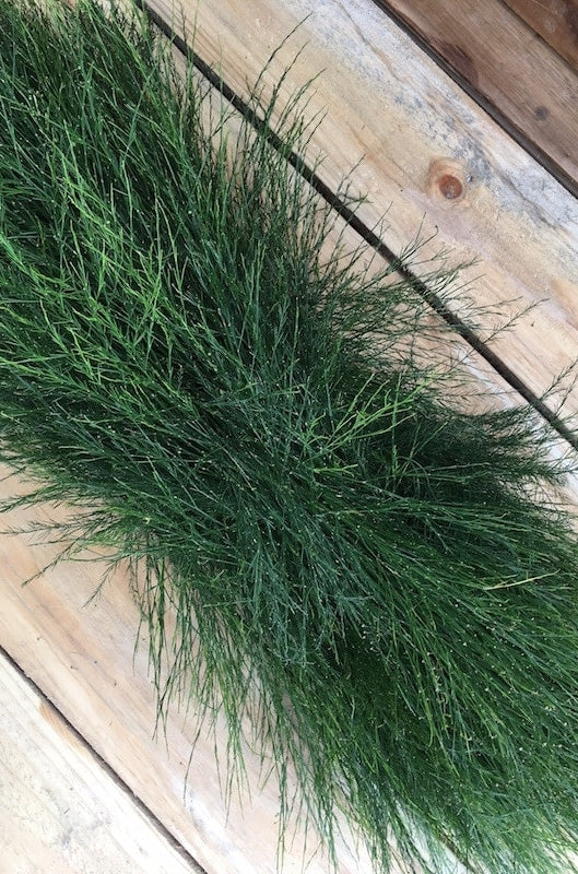 christmas garland tree fern