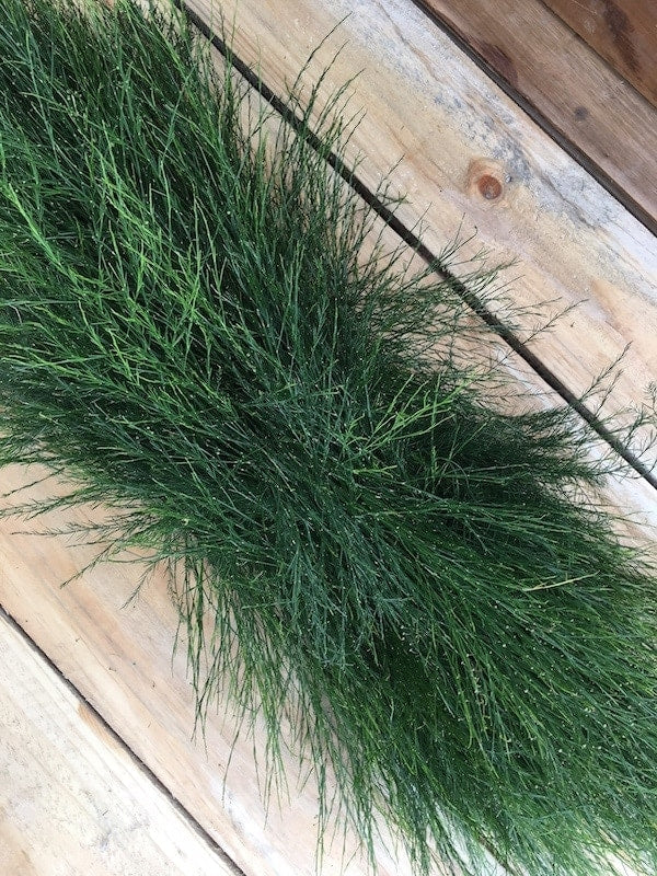 christmas garland tree fern