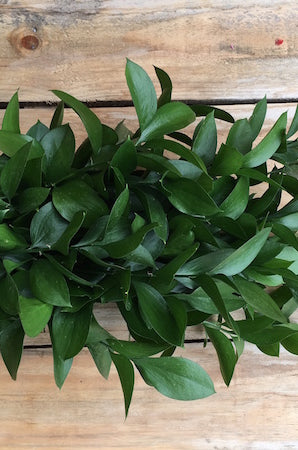 garland of ruscus