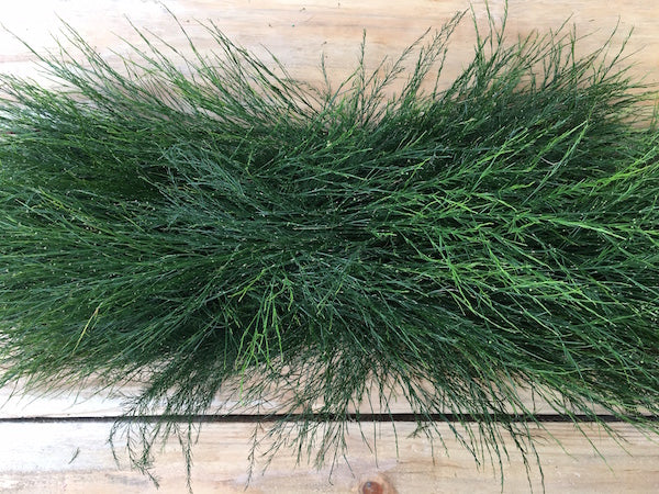 wedding garland tree fern