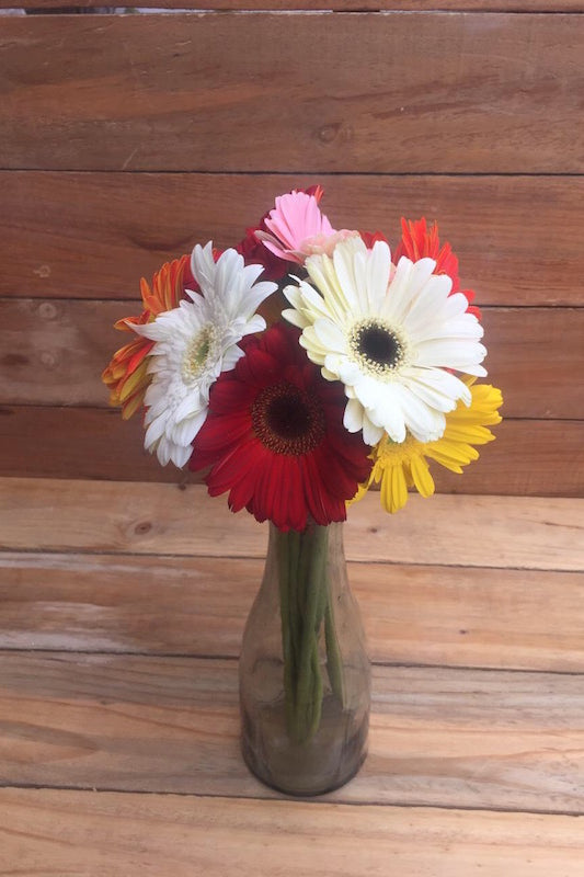 Gerbera Daisy Bouquet