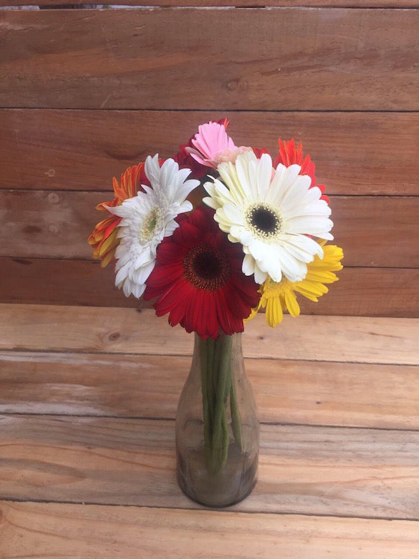 Gerbera Daisy Bouquet