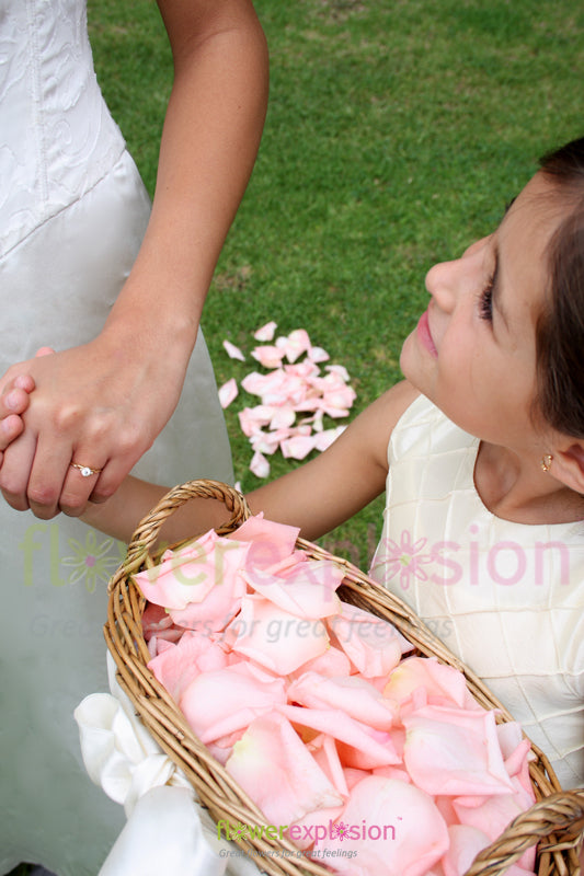 Rose Petals