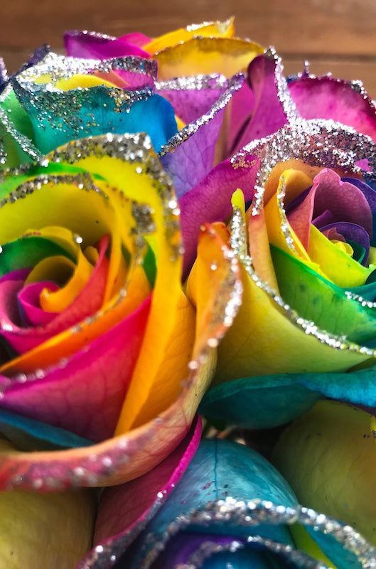 glitter rainbow rose closeup