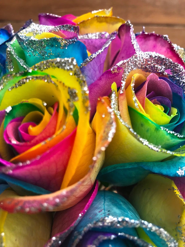 glitter rainbow rose closeup