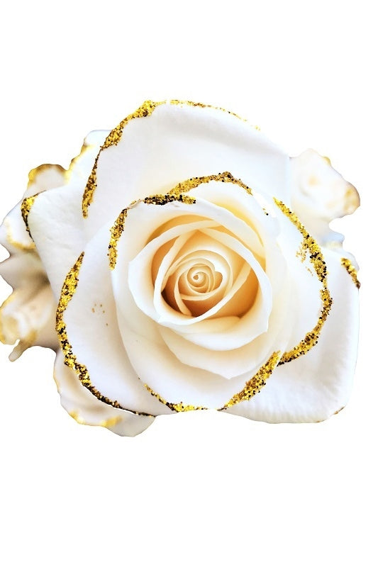 white gold rose