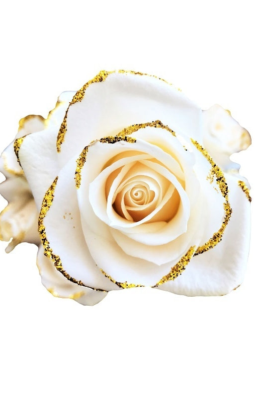 white gold rose