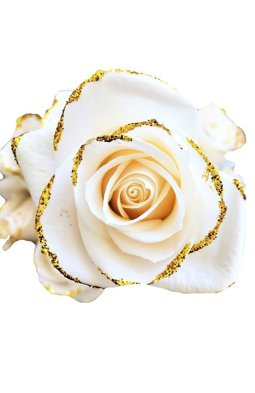 white gold rose
