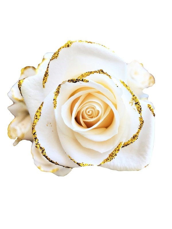 white gold rose