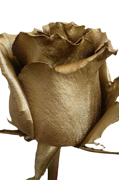 Gold Rose Metallic