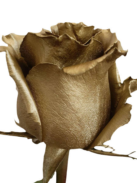 Gold Rose Metallic