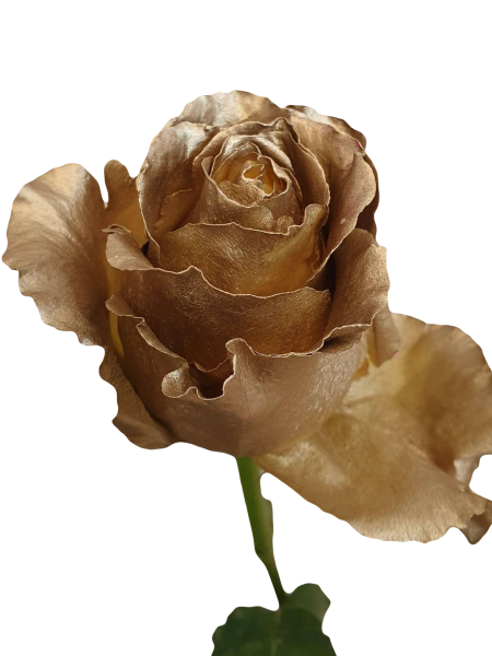 Spray Painted Gold Roses