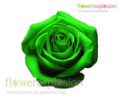 Green Tinted Rose