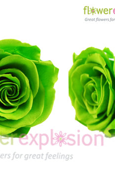 Green Preserved Roses