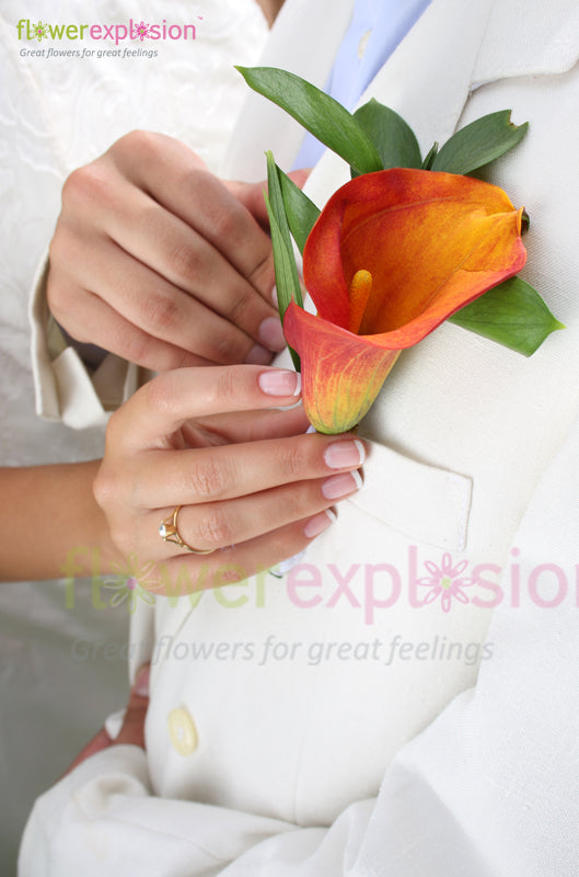 Groom's Boutonniere