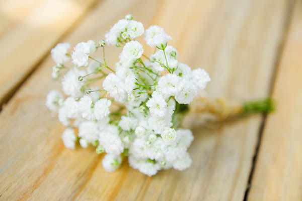Gypsophila Boutonniere