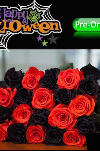 Halloween Flower Combo