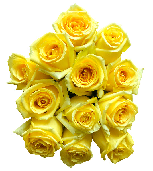 Hummer Yellow Roses