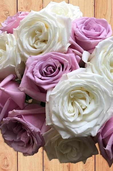 white lavender rose combo