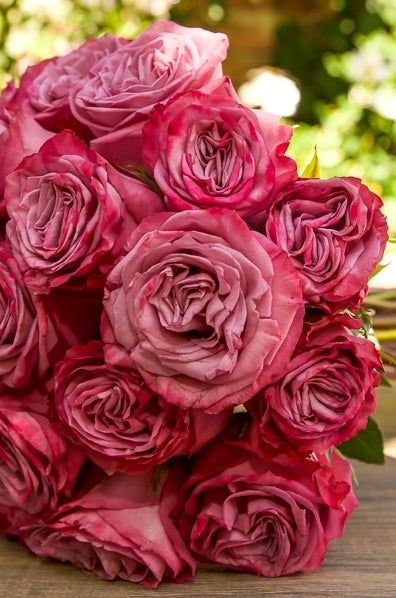 Lavender Roses Moody Blues